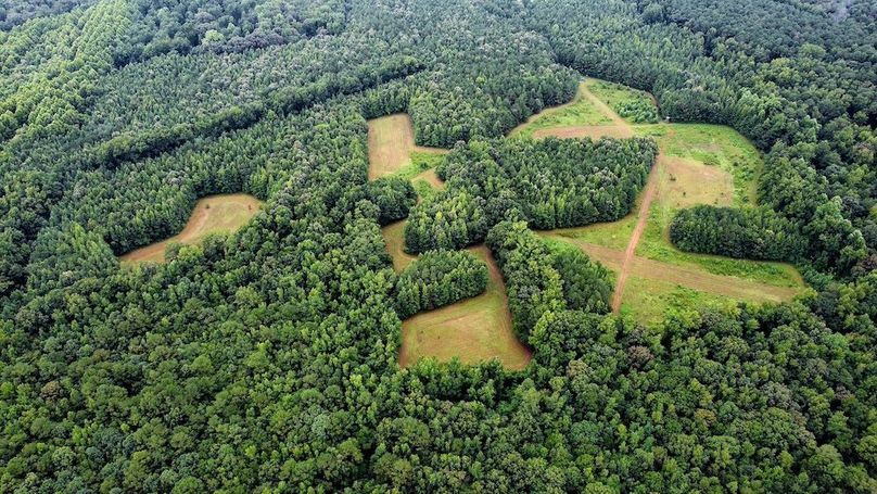 dji_fly_20250802_102210_578_1754144545343_photo_optimized