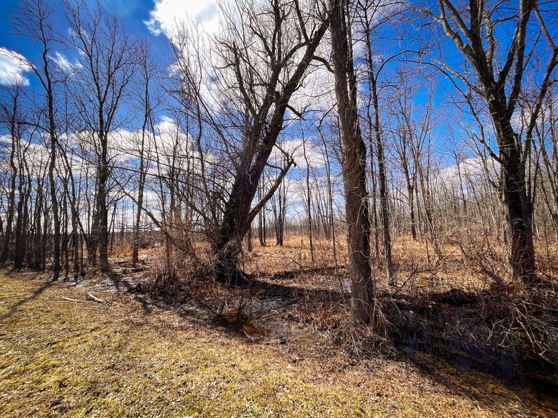 Oswego_165.52_Lashomb_Photos_23