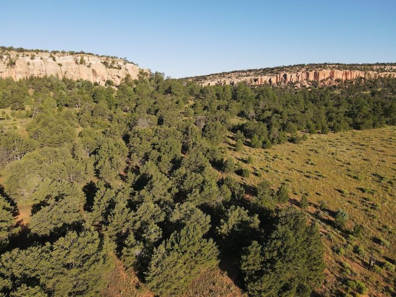 dji_fly_20240816_075544_521_1723816564154_photo