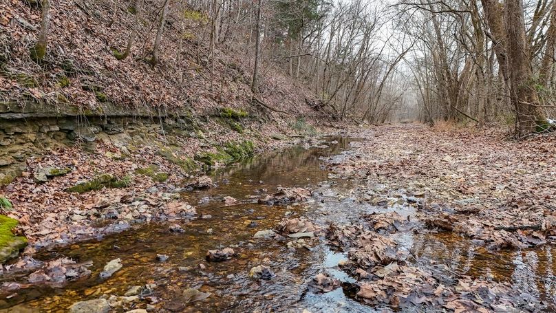 Copy of dji_fly_20251208_011322_0033_1765159712066_photo