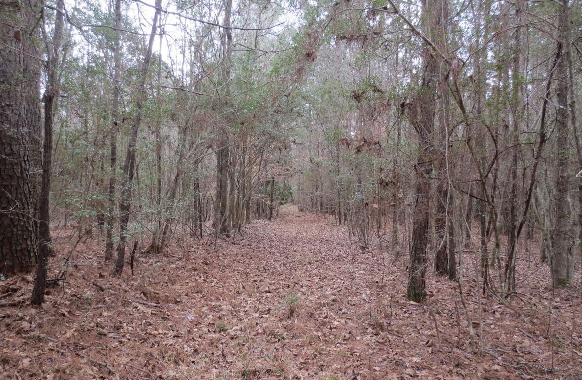 1E7DF5B2-11DC-4E6A-ACC4-642850C6B80F