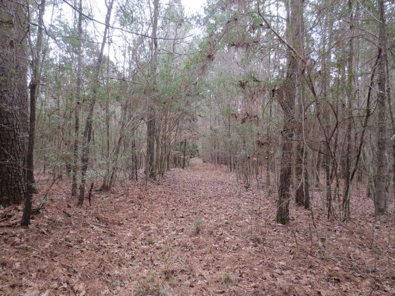 1E7DF5B2-11DC-4E6A-ACC4-642850C6B80F