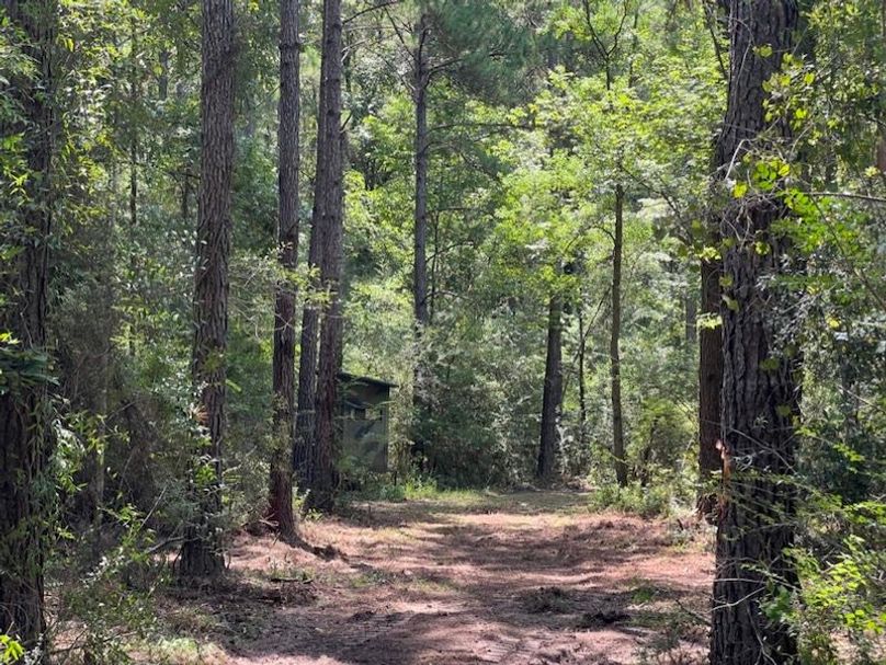 FEE3392E-ED25-46BC-8C36-15DBA6BBBF35_1_105_c