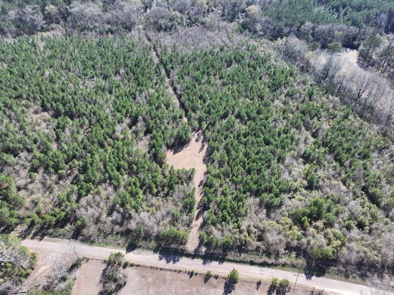 dji_fly_20260302_130624_0344_1772559699328_photo