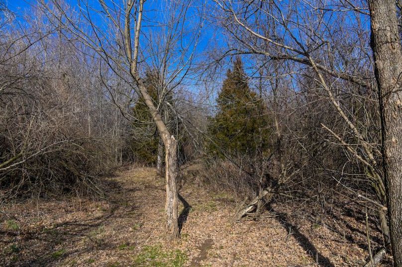 vandalia 450 (2)-1686