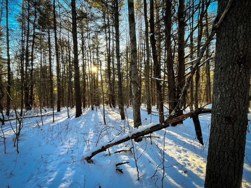 Tioga_11.9_Kilroy_Photos_36