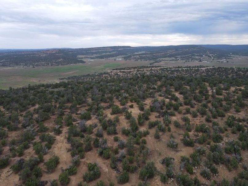 dji_fly_20240809_072726_437_1723210071927_photo