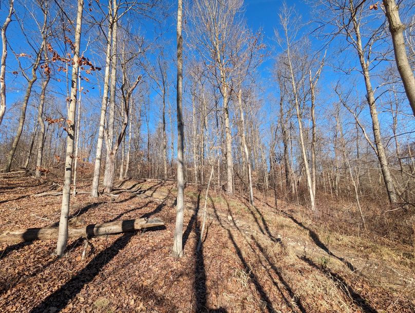 PXL_20231215_171928655