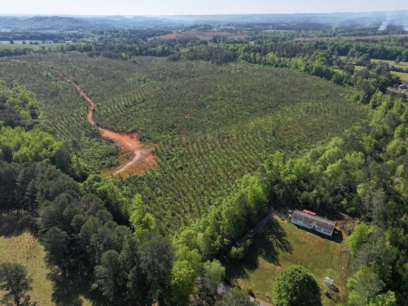 DJI_20260421100115_0635_D