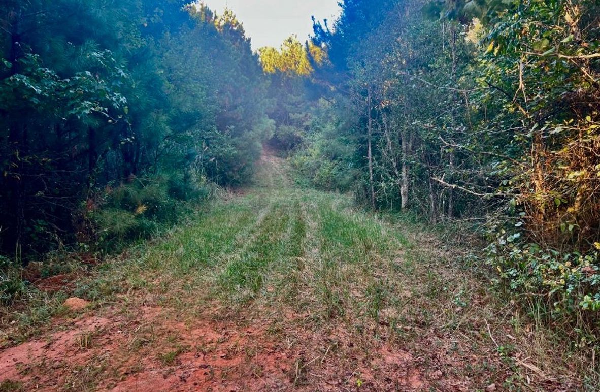 2A425B7A-1996-426A-B8DB-35BA8777F6C2_1_201_a