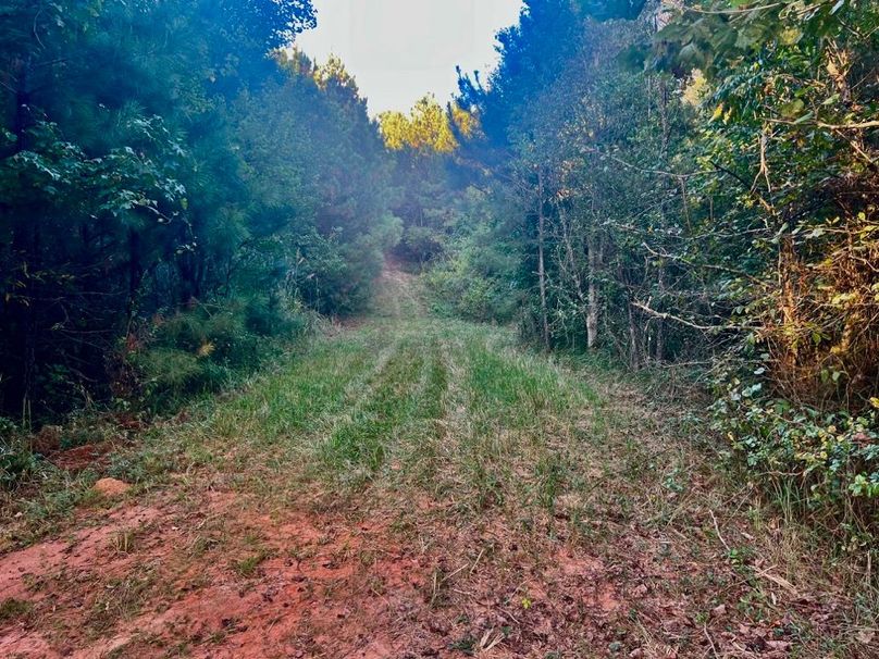 2A425B7A-1996-426A-B8DB-35BA8777F6C2_1_201_a