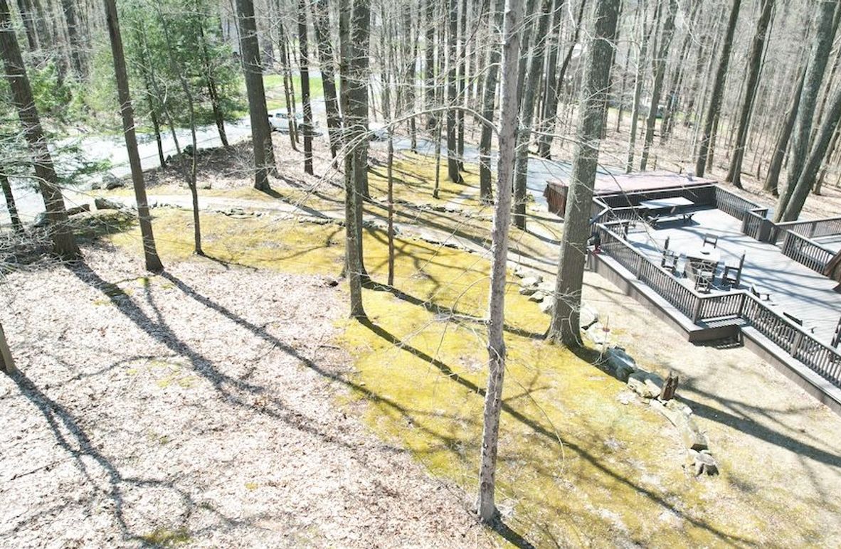 dji_fly_20250423_122330_154_1745426420765_photo