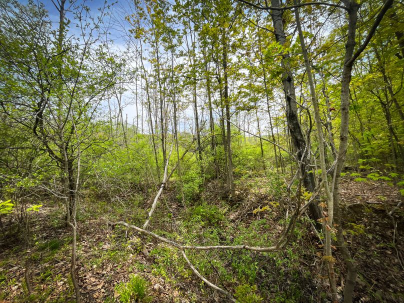 Chemung_44.5_ Briggs _Photos_62
