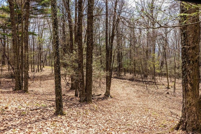 17-web-or-mls-IMG-17