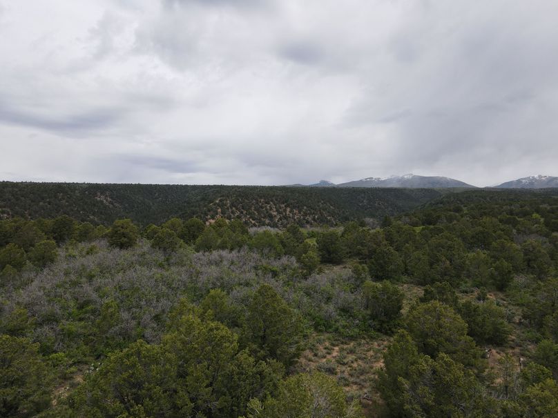 dji_export_1685968223294