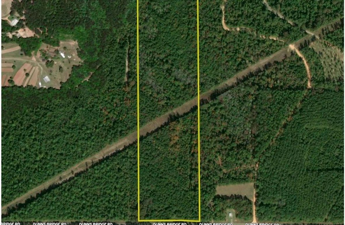 Aerial #1 - 38 Acres Covington county, AL copy