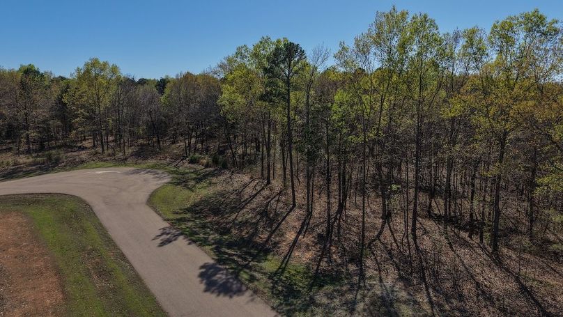 DJI_20260311011347_0036_D