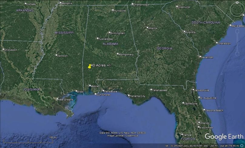 Aerial #9 Approx. 40 Acres Washington County, AL