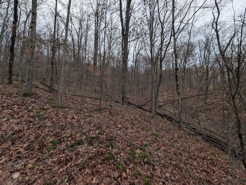 PXL_20260107_212845453.MP