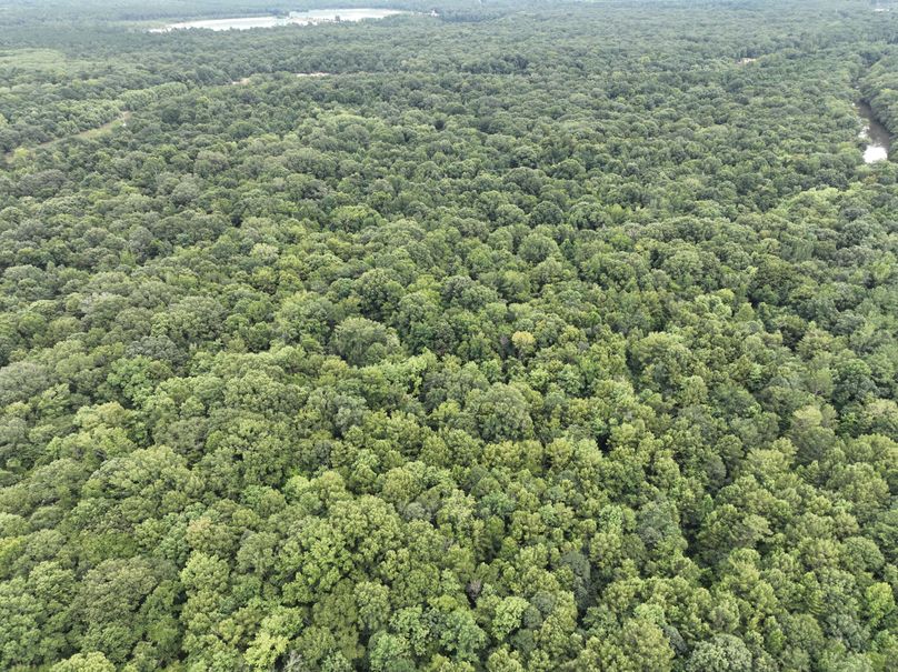 dji_fly_20230727_170214_391_1690507712737_photo 3