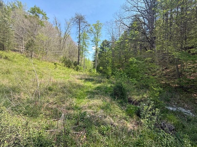 076 an east leading valley along the east area of the property