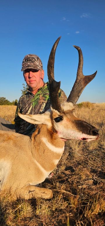 27.27 pronghorn