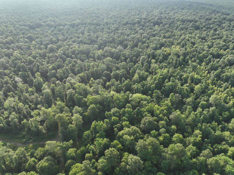 dji_fly_20230630_080816_197_1688137770755_photo