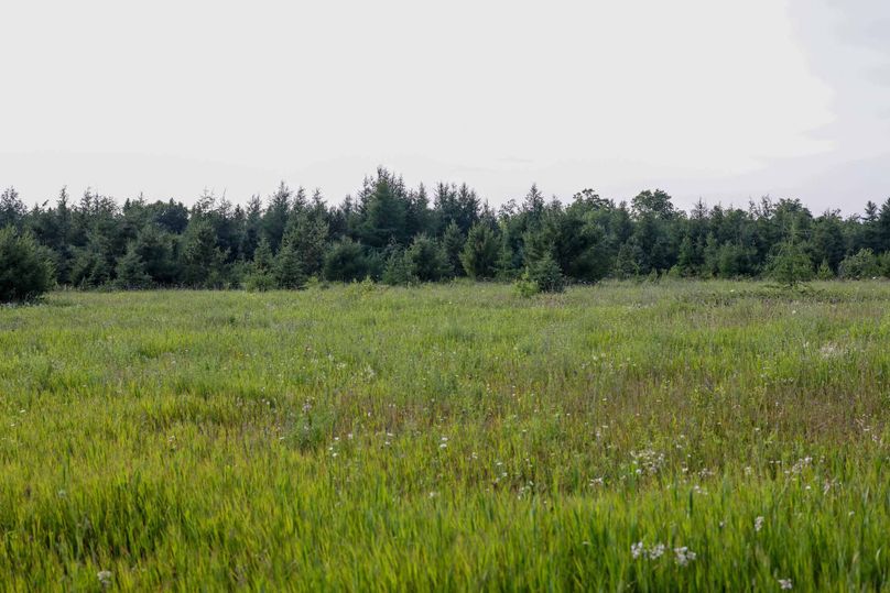 Mackinac20Fewins-6037