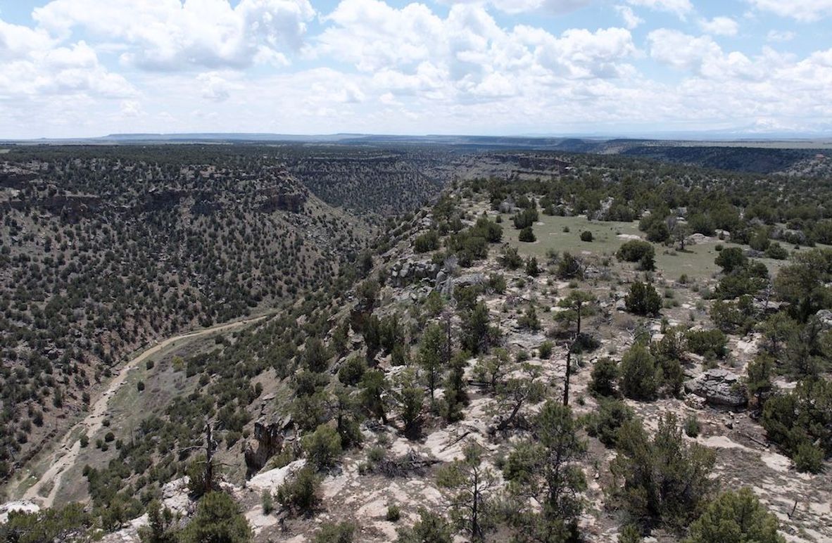 DJI_20250508123920_0053_D