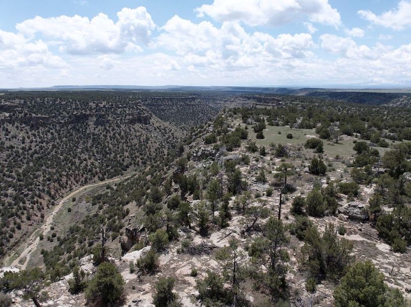 DJI_20250508123920_0053_D