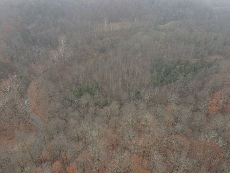 12-DJI_20251119122842_0016_W