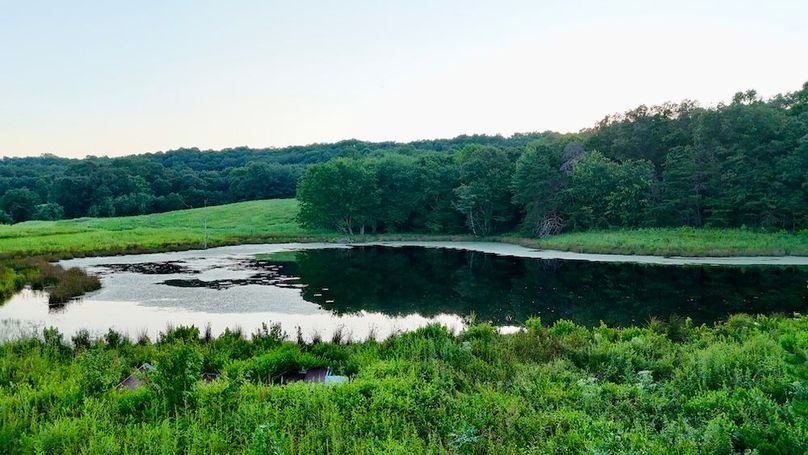 DJI_20250724202509_0064_D