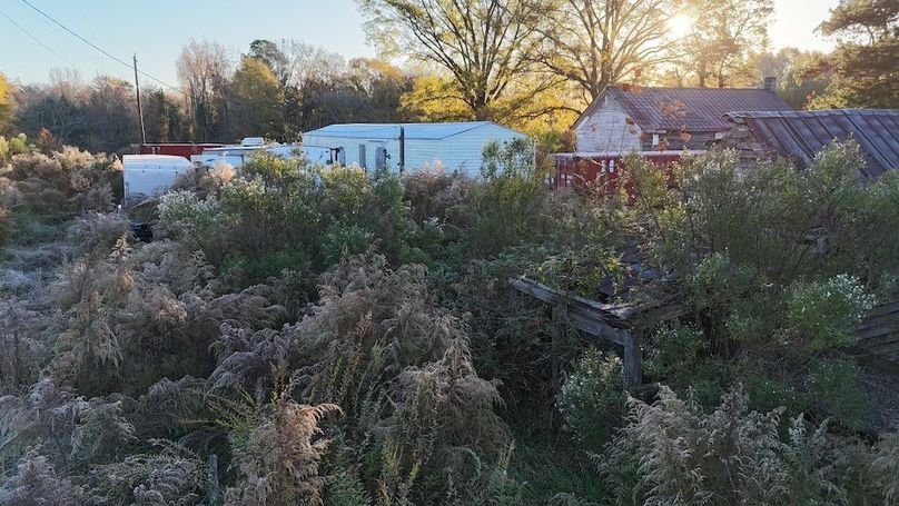 dji_fly_20251114_074304_0979_1763127700485_photo