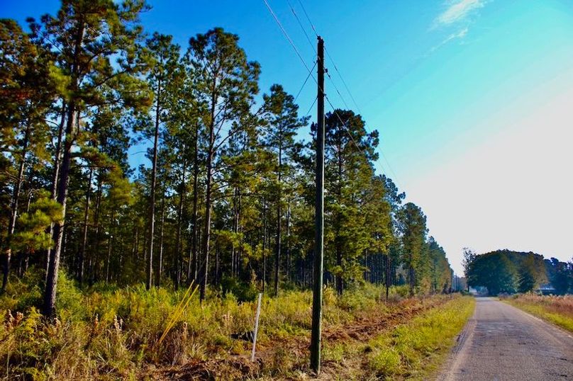 541A14EB-787A-4327-A569-C73C1F0A40D8_1_105_c