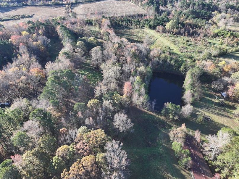 Copy of DJI_20241124090520_0218_D