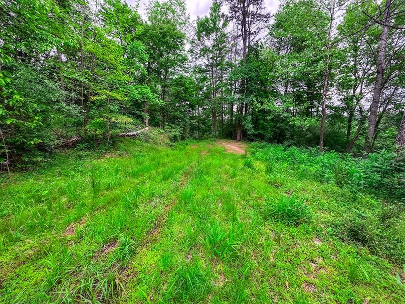 Tyler, WV 313.87 AC -10