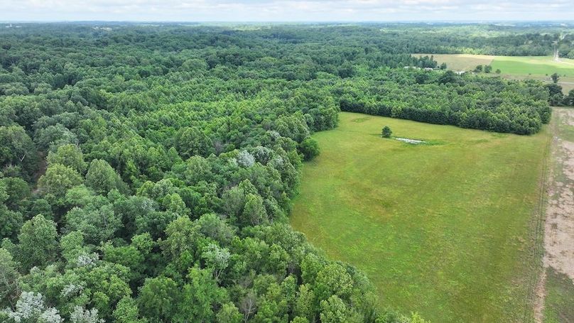 dji_fly_20250619_100320_0333_1750342101541_photo