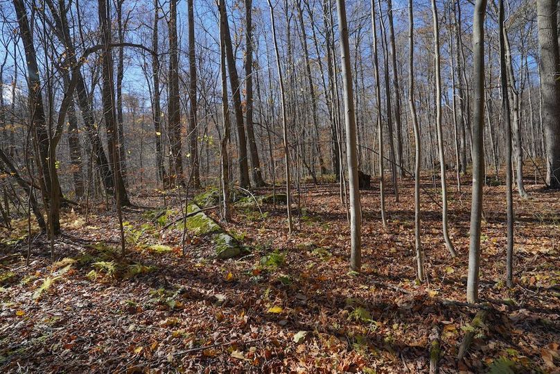 Somerset, 10.91, Tinkey-22