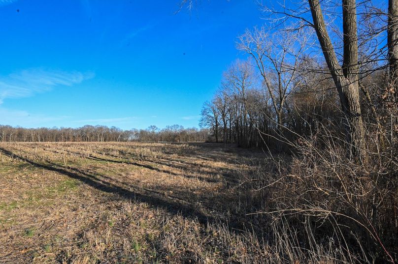 vandalia 450 (2)-2194