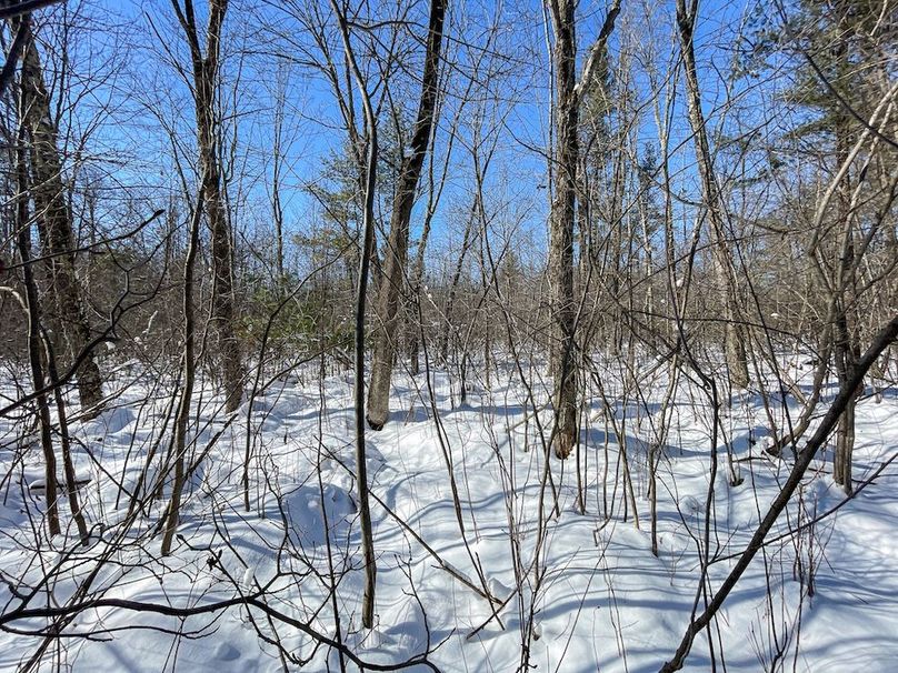 Portage 13.596, Van Asten-29