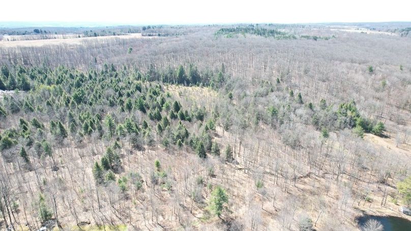 dji_fly_20250417_113316_143_1744904175615_photo