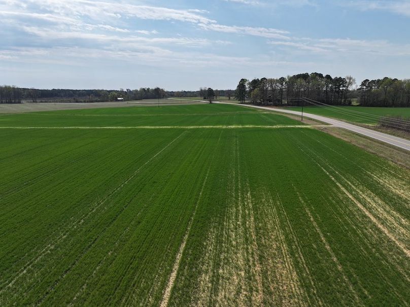 DJI_20260303064344_0574_D