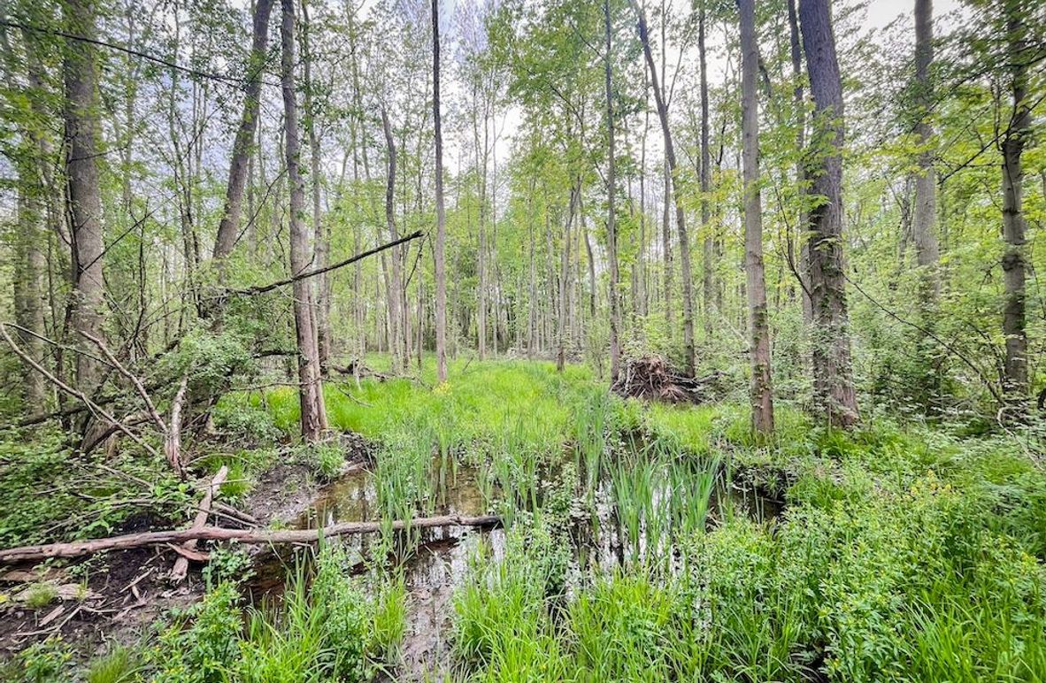 Wayne_85.97_King_Photos_6