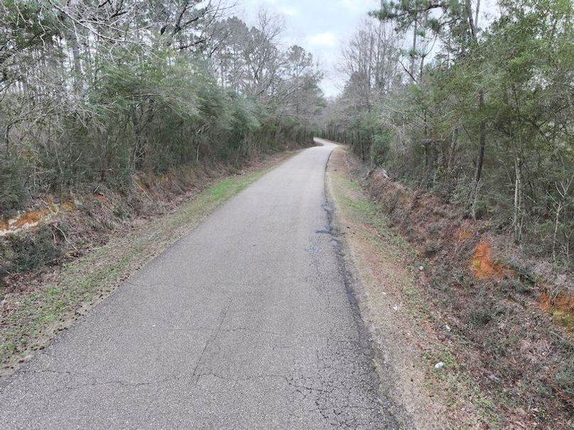 dji_fly_20260217_133442_0129_1771436929450_photo