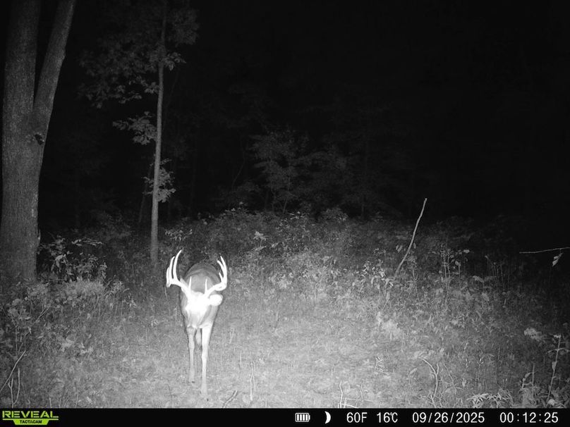 860322061882913-90-3-09262025115742-HD-SYFW1039