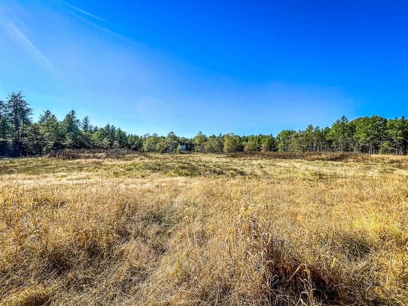 Juneau 27 Wiesner -043