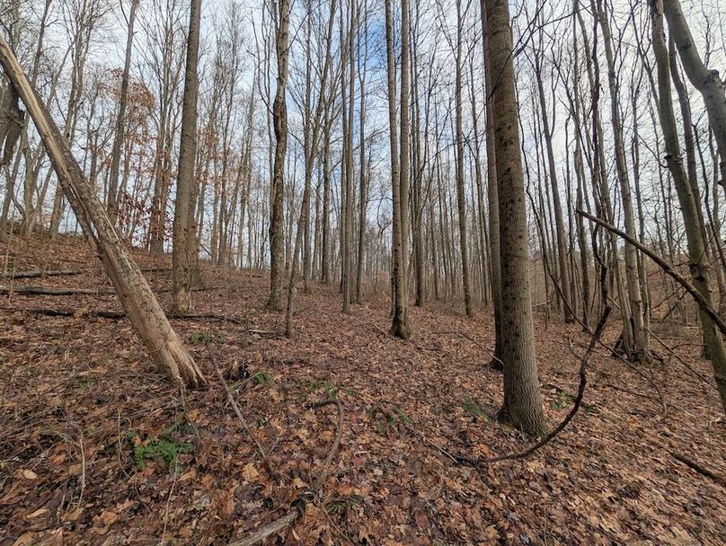 PXL_20260107_181618275