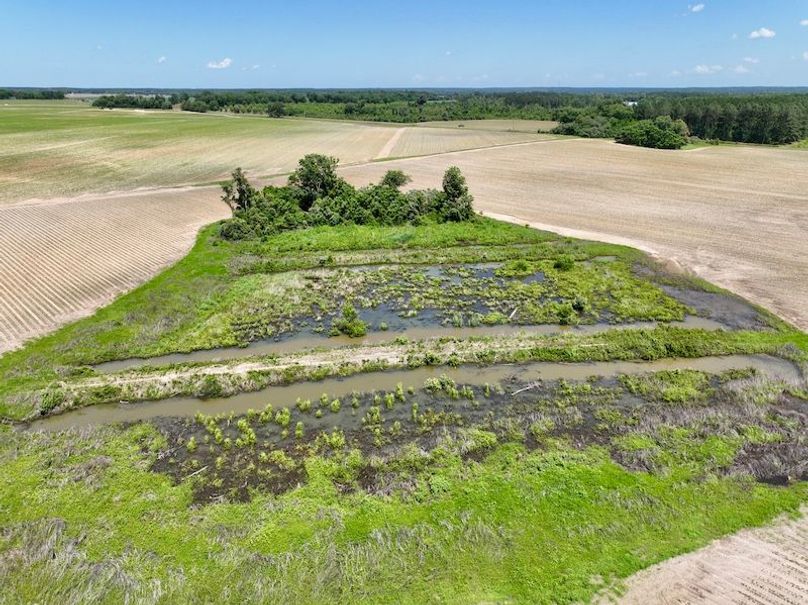 dji_fly_20250521_144500_875_1747853599697_photo
