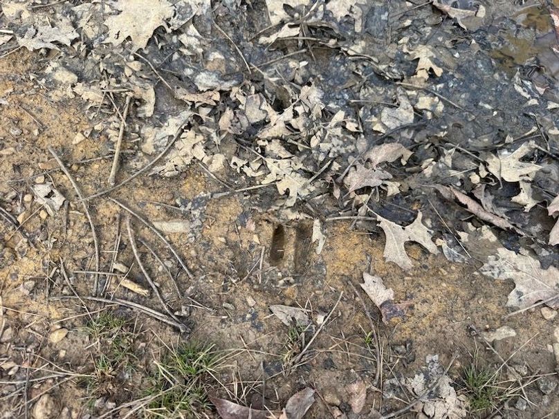 stone8020260306_0084