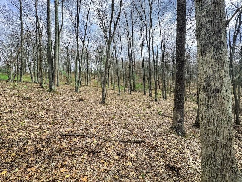 Ritchie, WV 206.08 AC Curriden-61